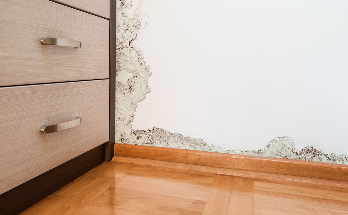 Water Damage,